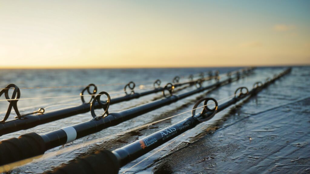 Closeup of Fishing Poles